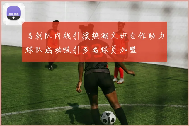 马刺队内线引援热潮文班合作助力球队成功吸引多名球员加盟