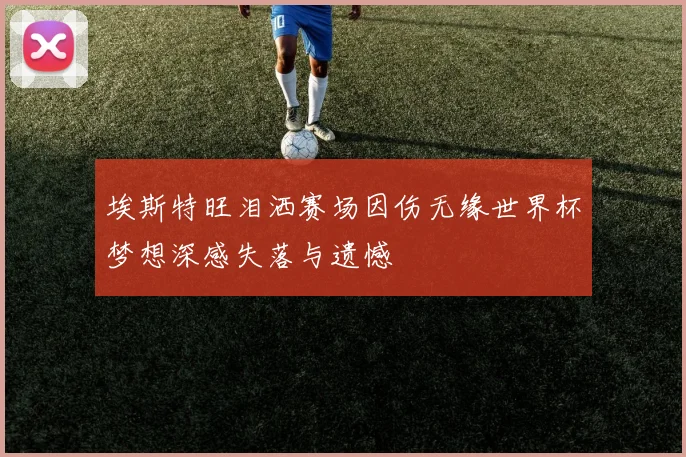埃斯特旺泪洒赛场因伤无缘世界杯梦想深感失落与遗憾