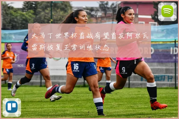 大马丁世界杯首战有望首发阿尔瓦雷斯恢复正常训练状态